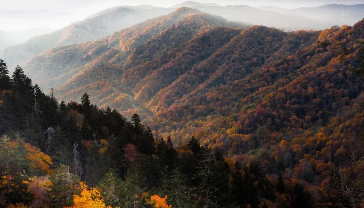 Appalachian Mountains Radford Virginia Nesselrod