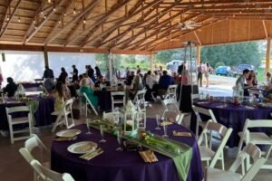 Virginia Wedding Bride Groom Nesselrod Meadows Pinter